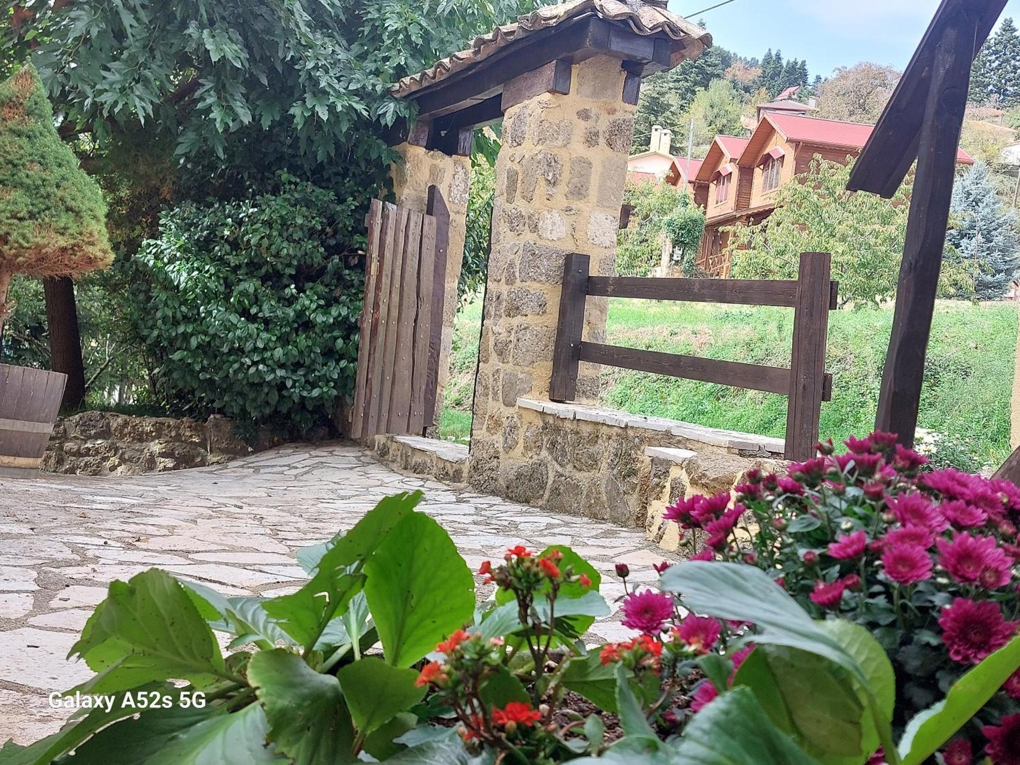 Εν Αρχή - En Arhi Trikala Exterior foto