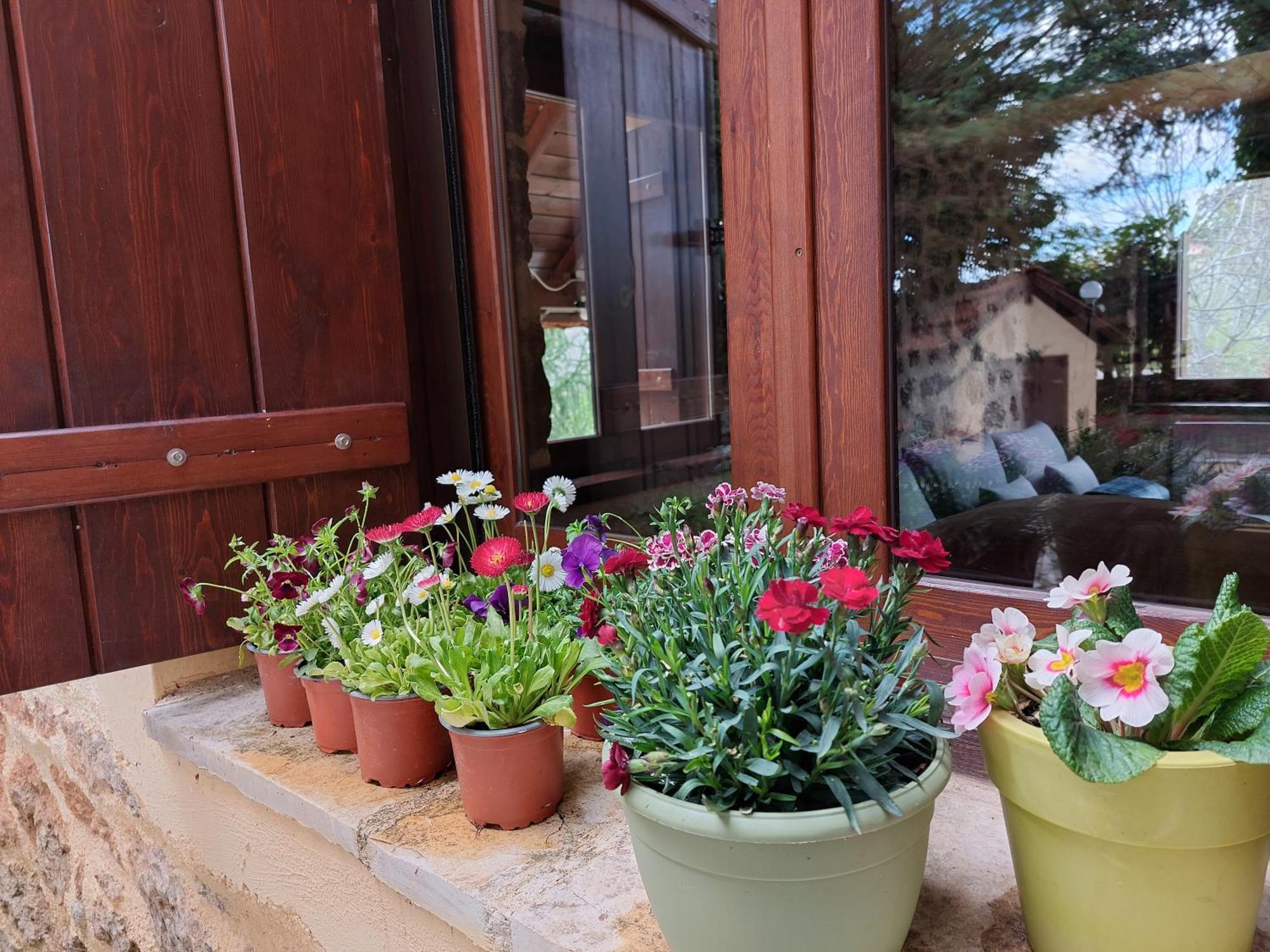 Εν Αρχή - En Arhi Trikala Exterior foto