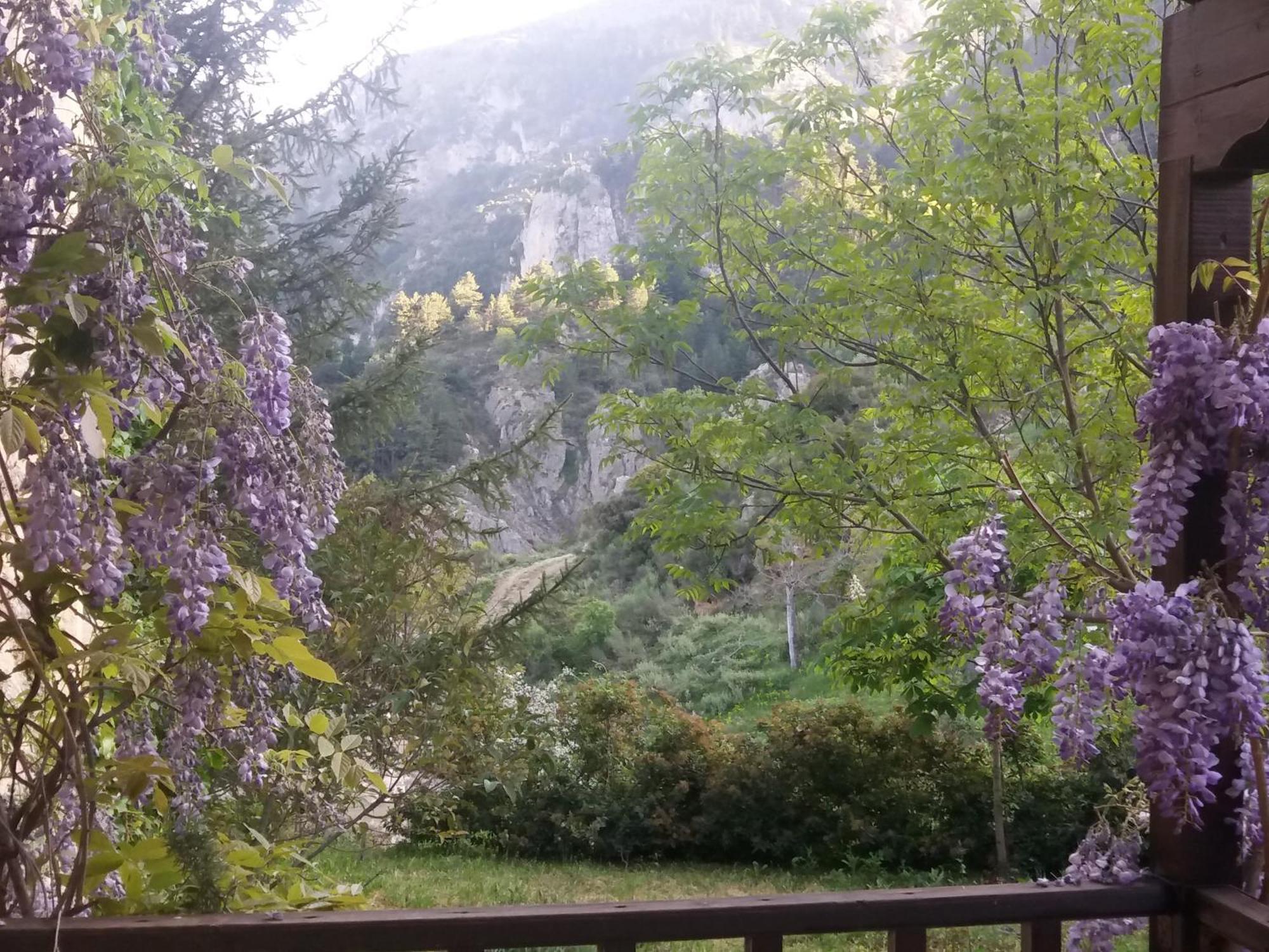 Εν Αρχή - En Arhi Trikala Exterior foto