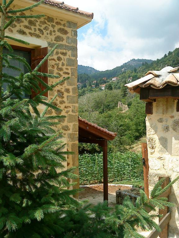 Εν Αρχή - En Arhi Trikala Quarto foto