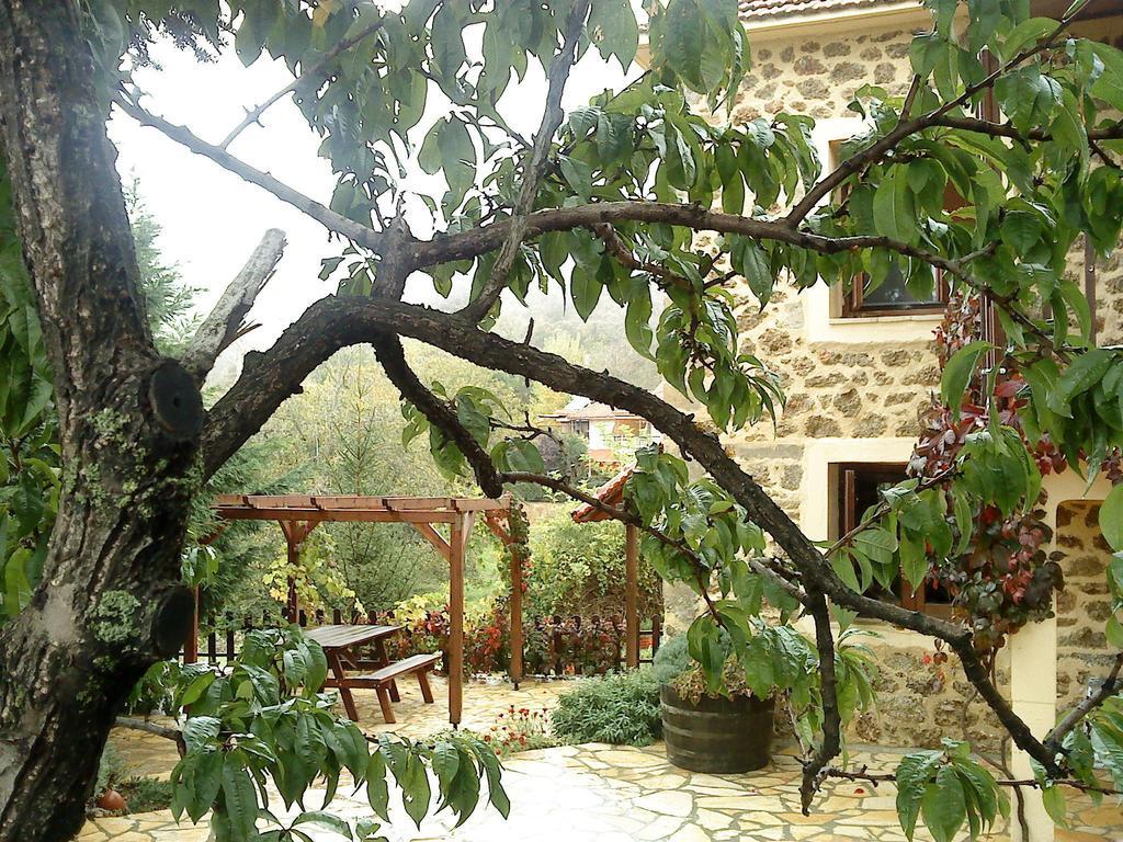 Εν Αρχή - En Arhi Trikala Quarto foto